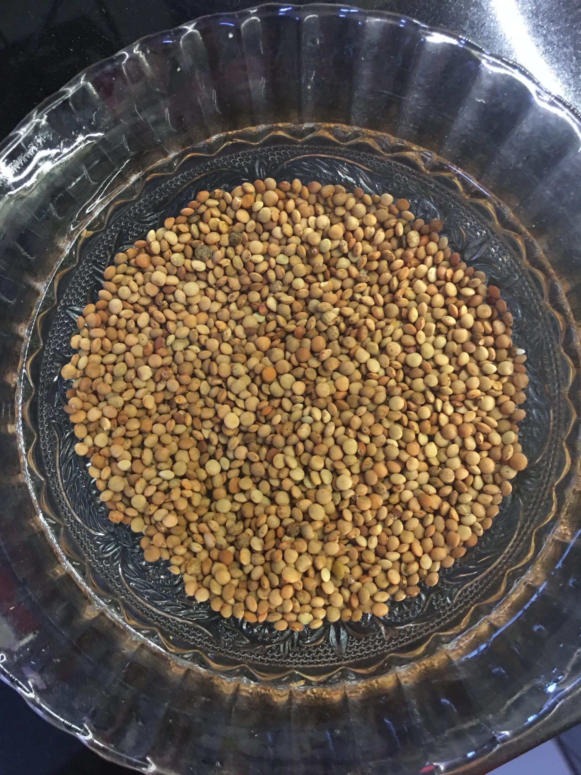 Masoor soaked in water