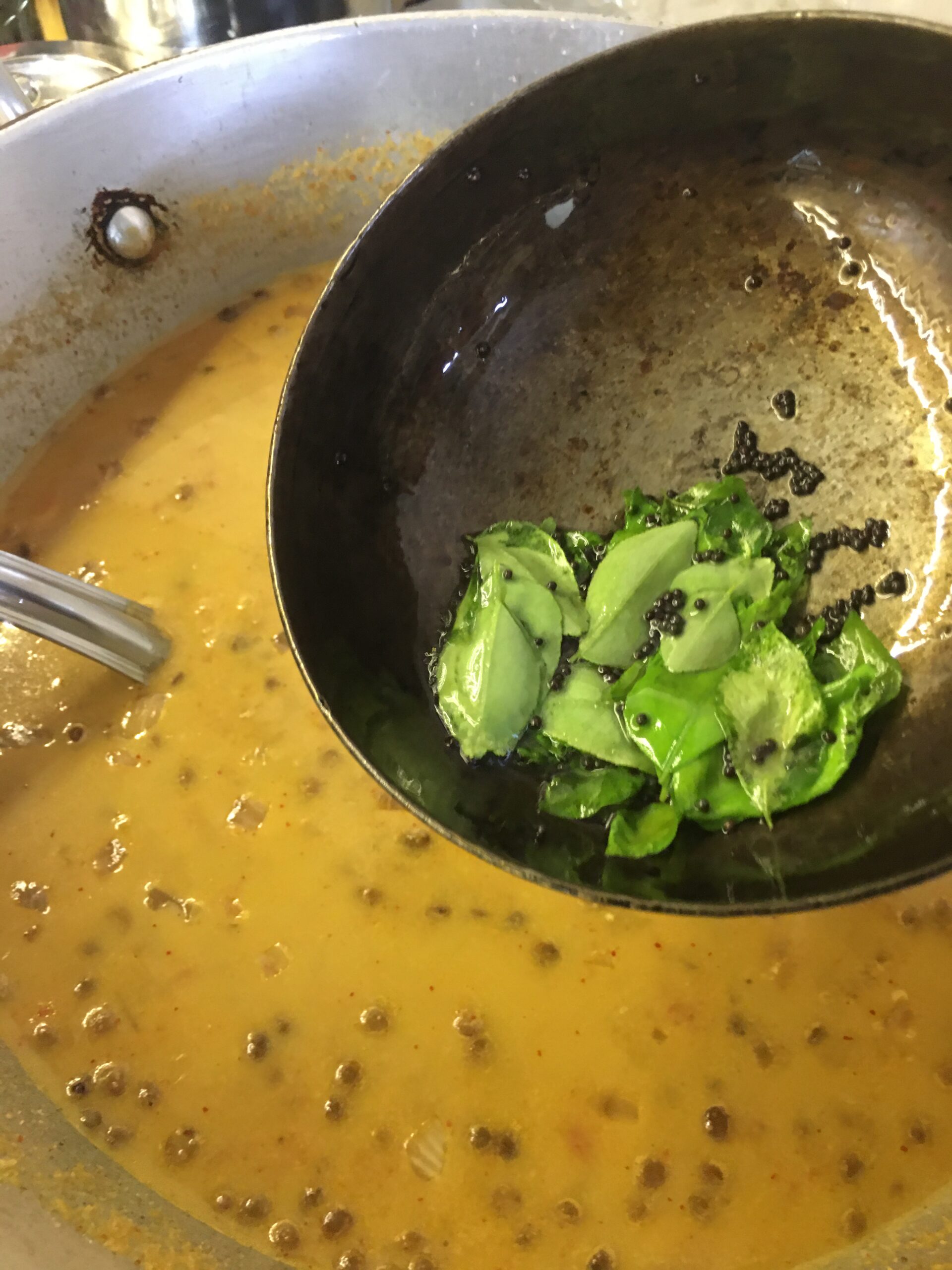 Tempering masoor tonak with mustard and curry leaves