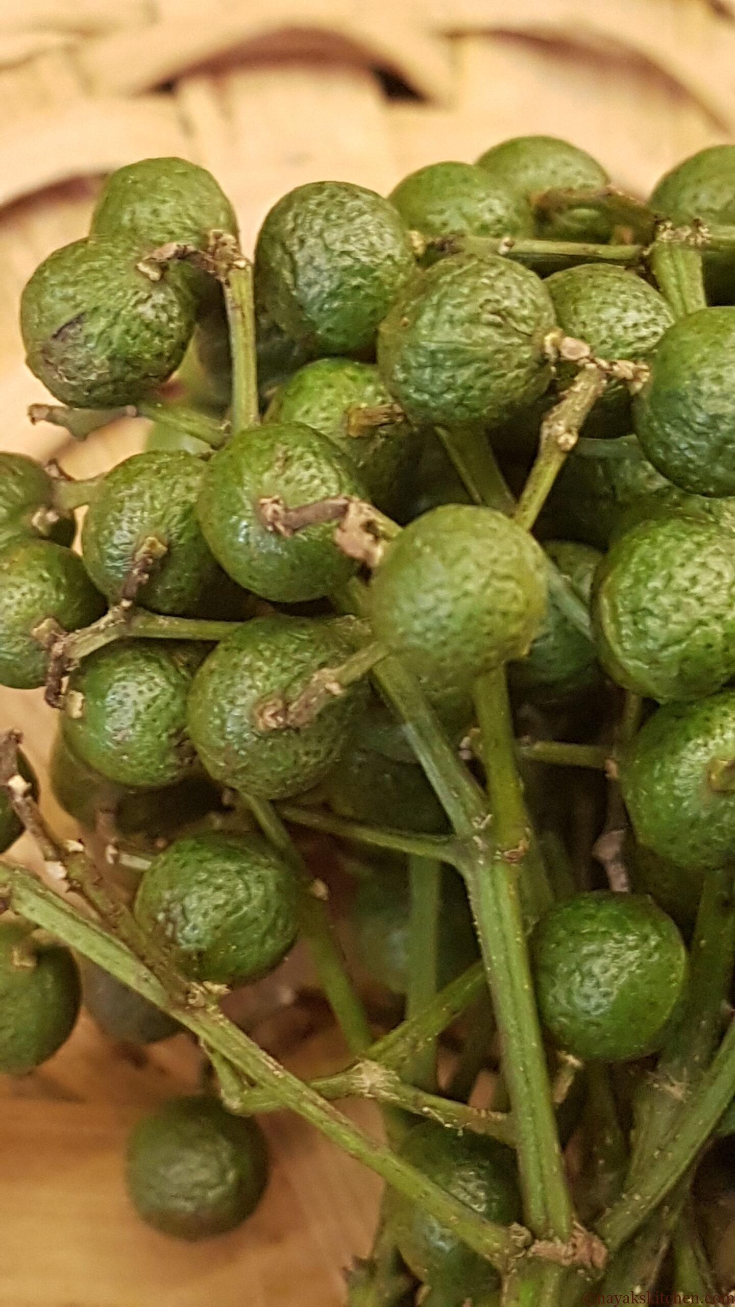 Closeup image of tefla/teppal