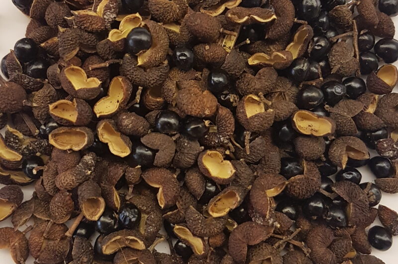 Dried tefla/teppal with seeds