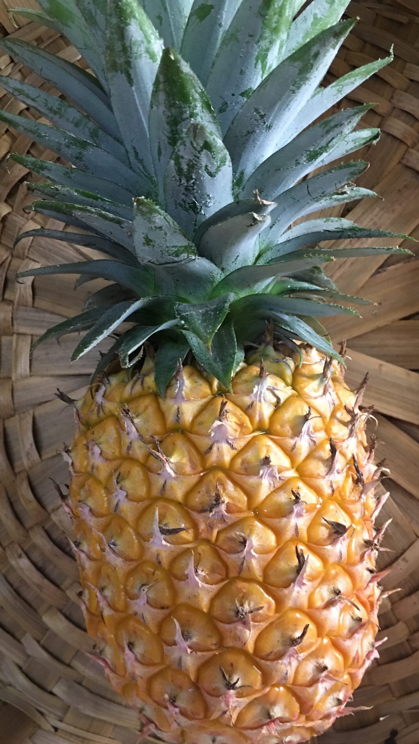 Fresh Pineapple