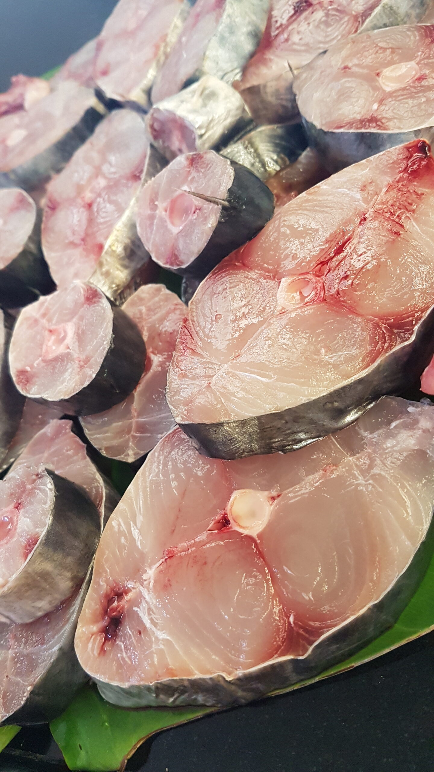 Kingfish pieces