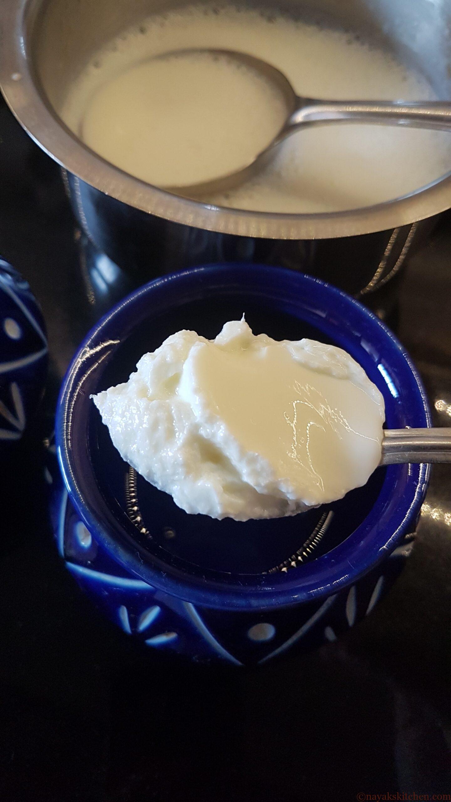 Adding starter to make dahi