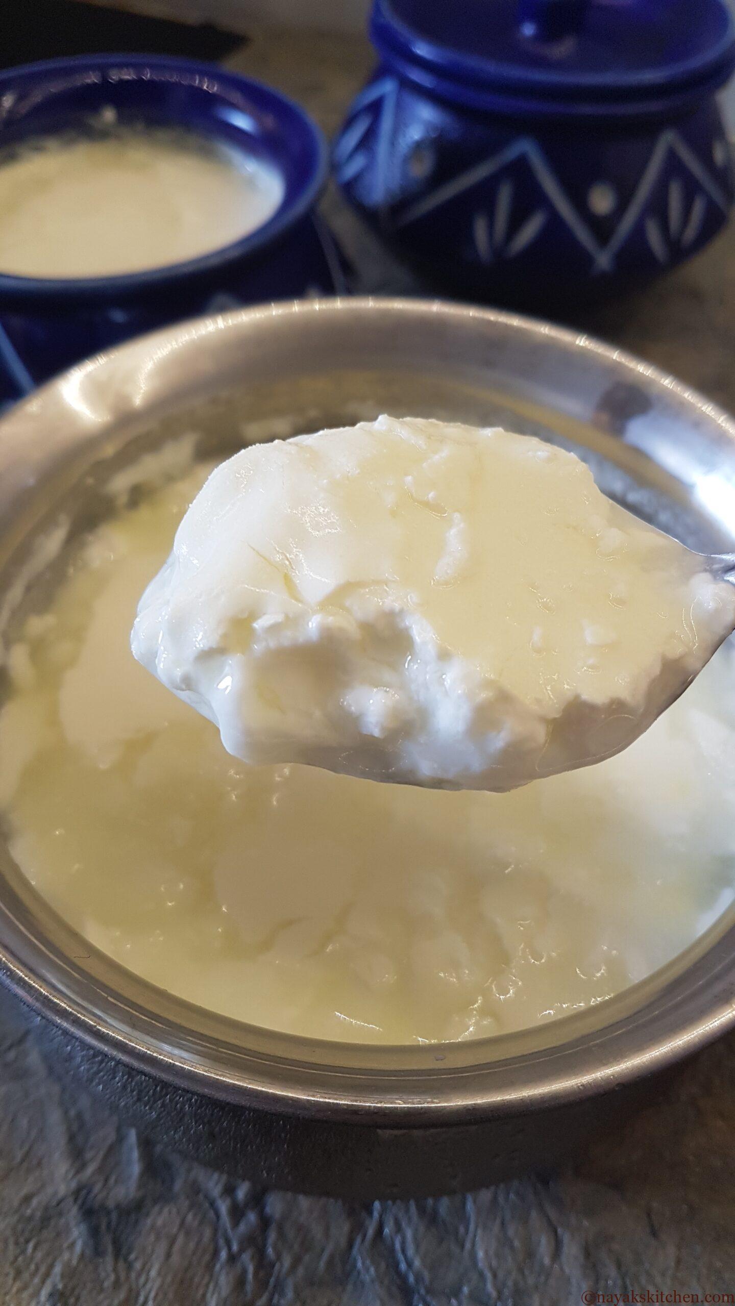 Curd set in a steel container