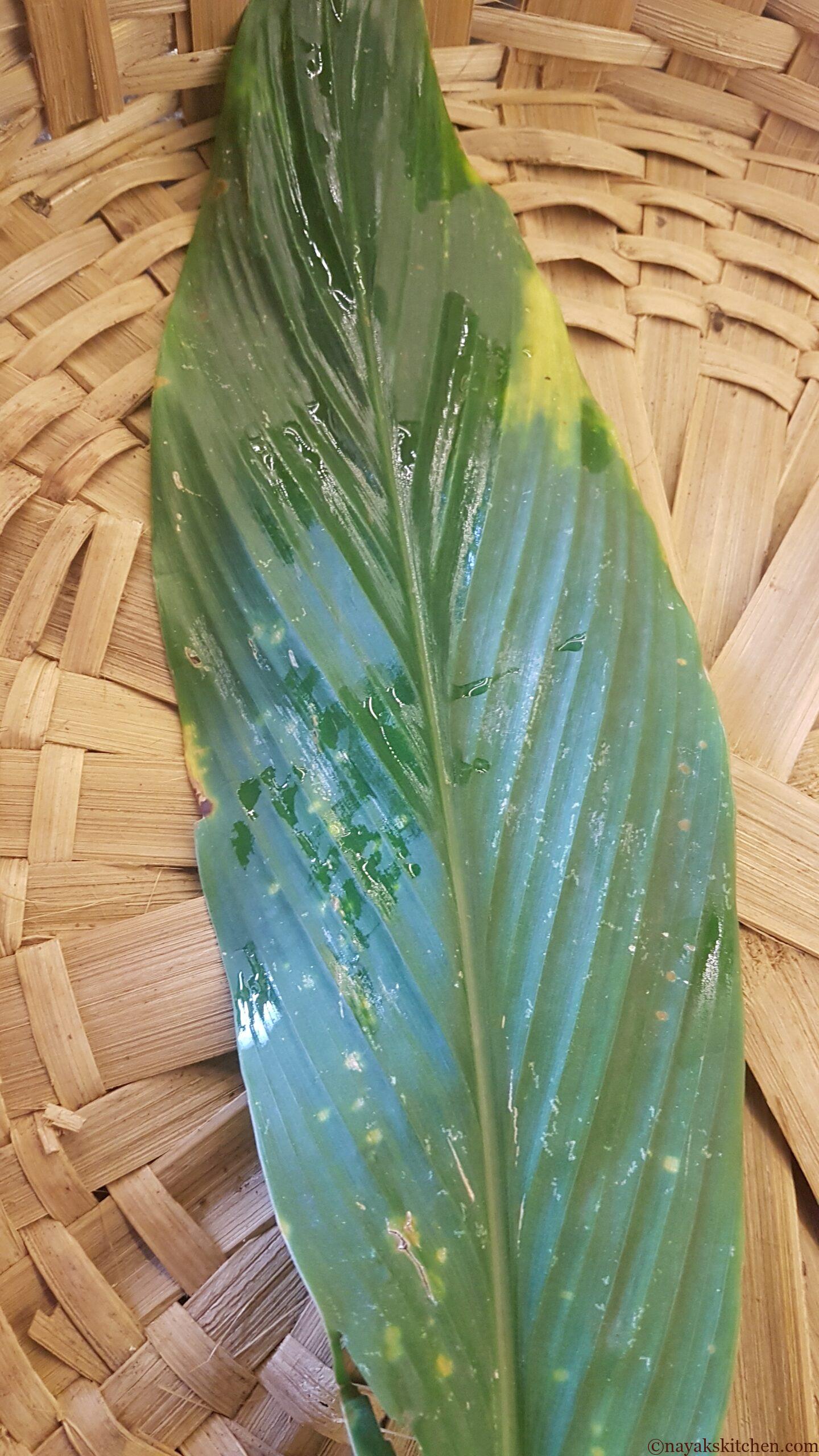 Turmeric leaf (haldi paan)