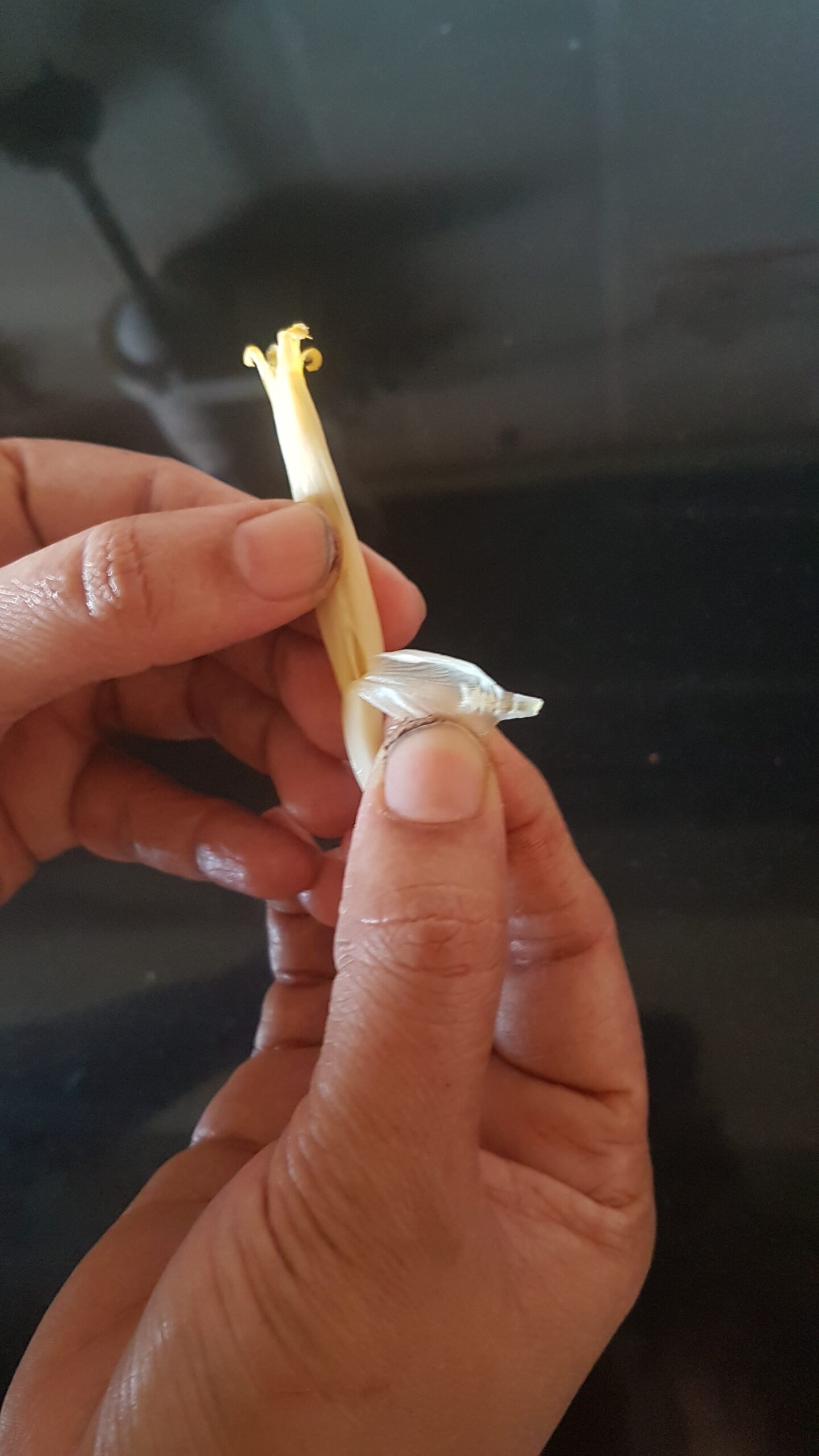 Removing the calyx (Dai)