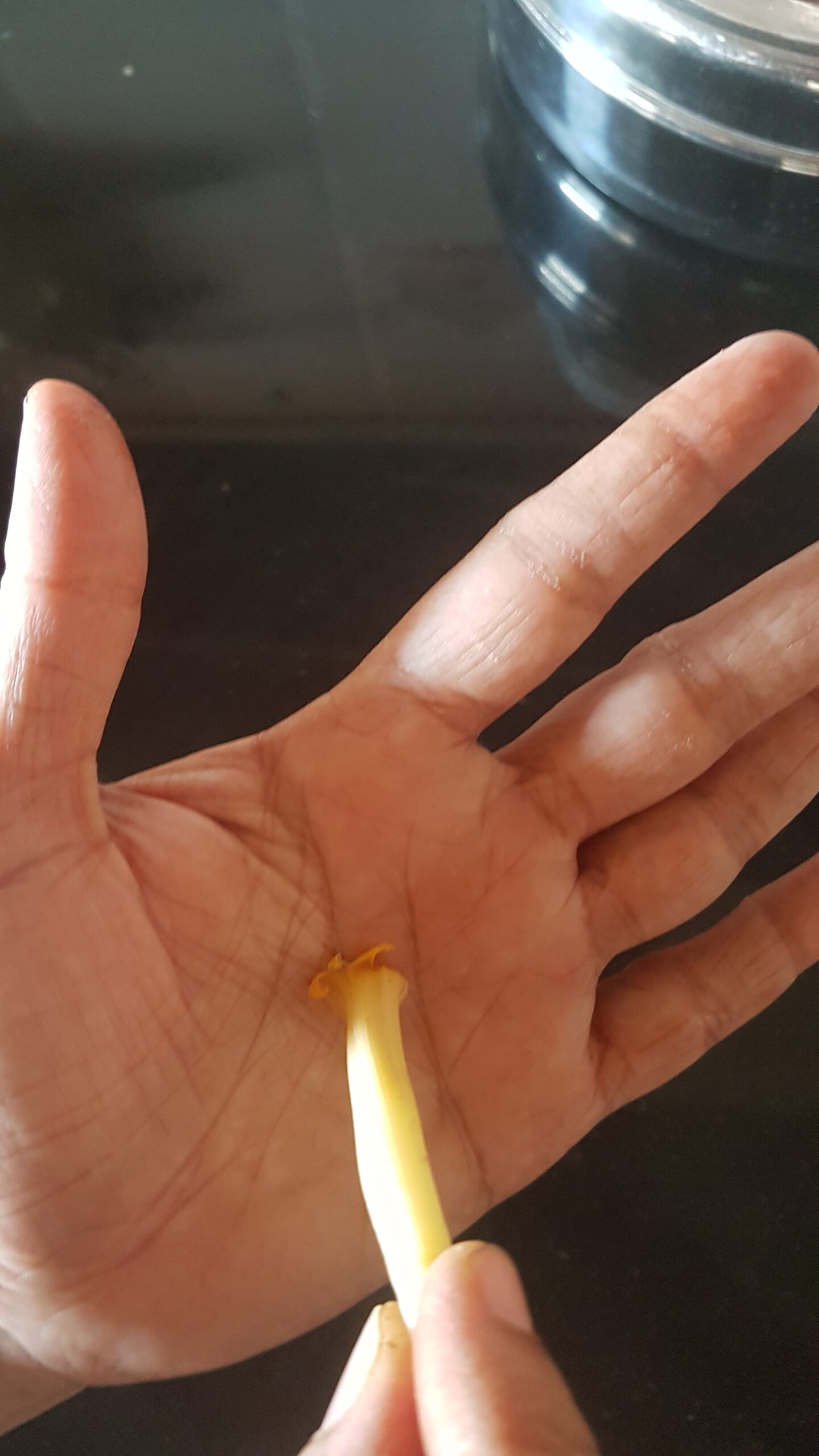 Brushing the flower on the palm