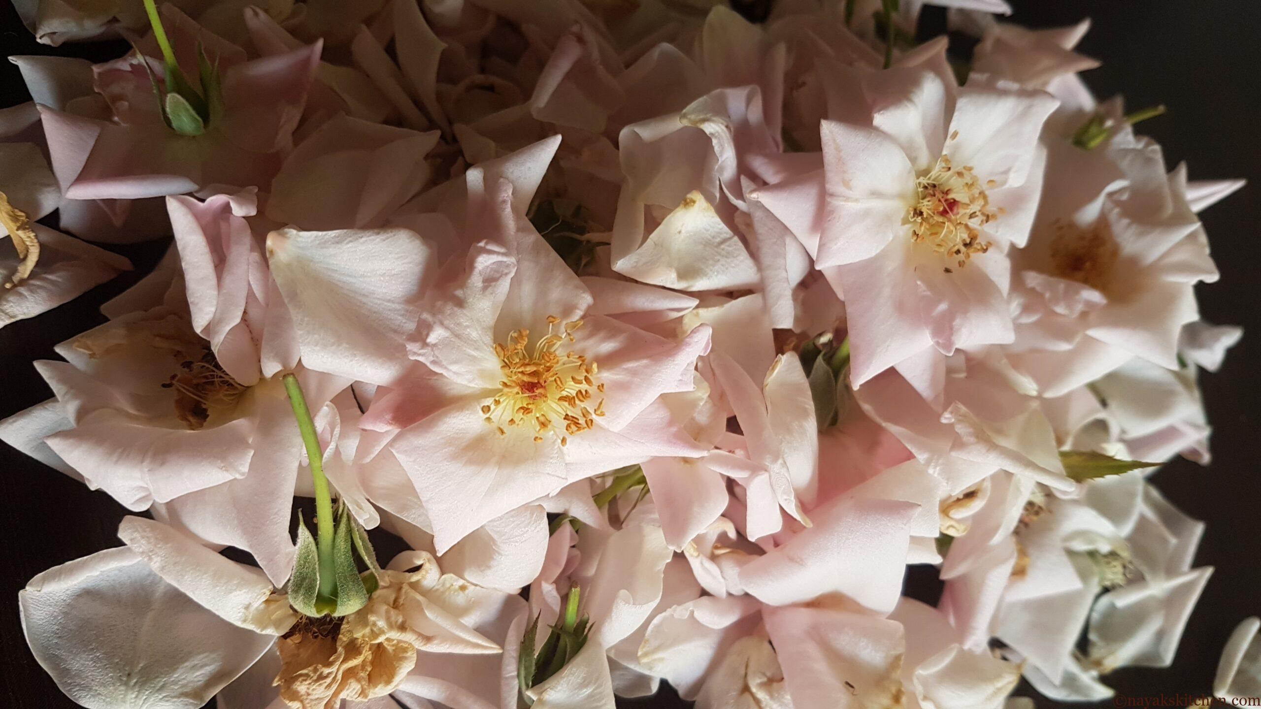 Fresh roses for gulkand recipe