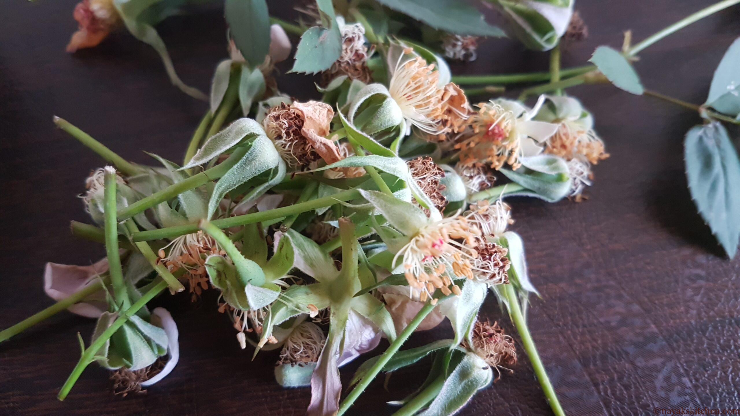 Discarded rose stalks