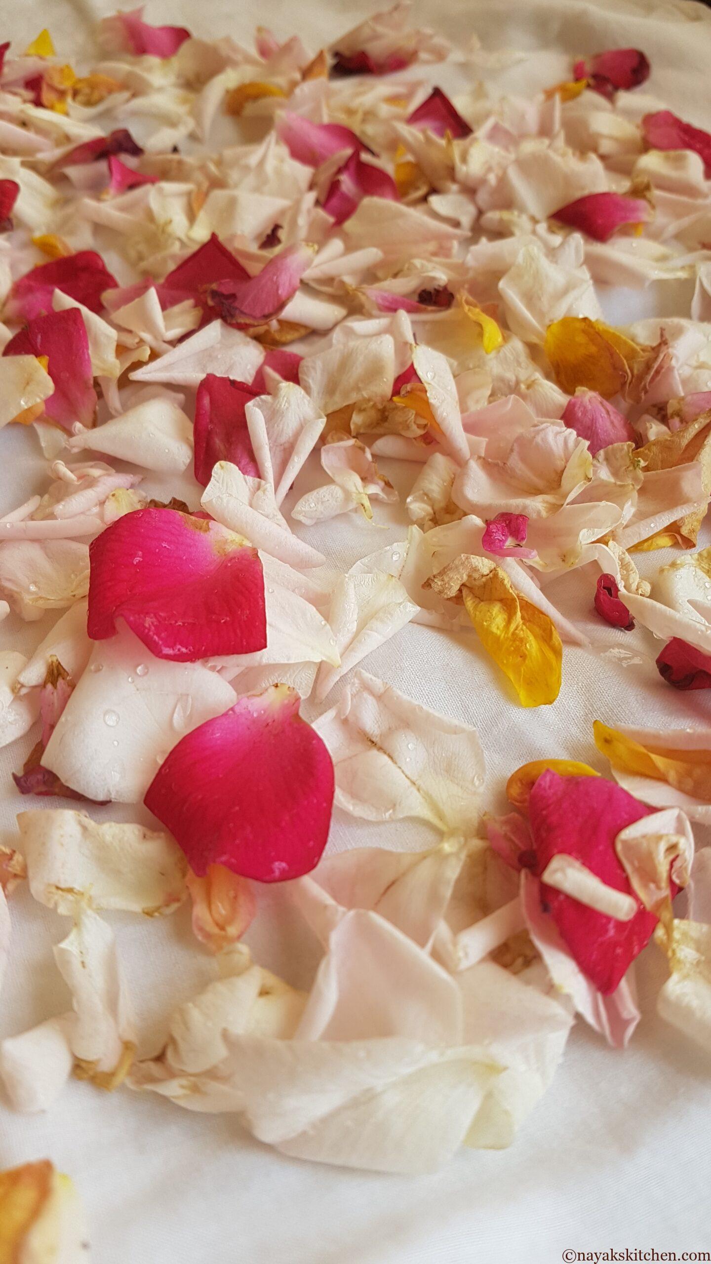 Drying washed rose petals on a muslin cloth