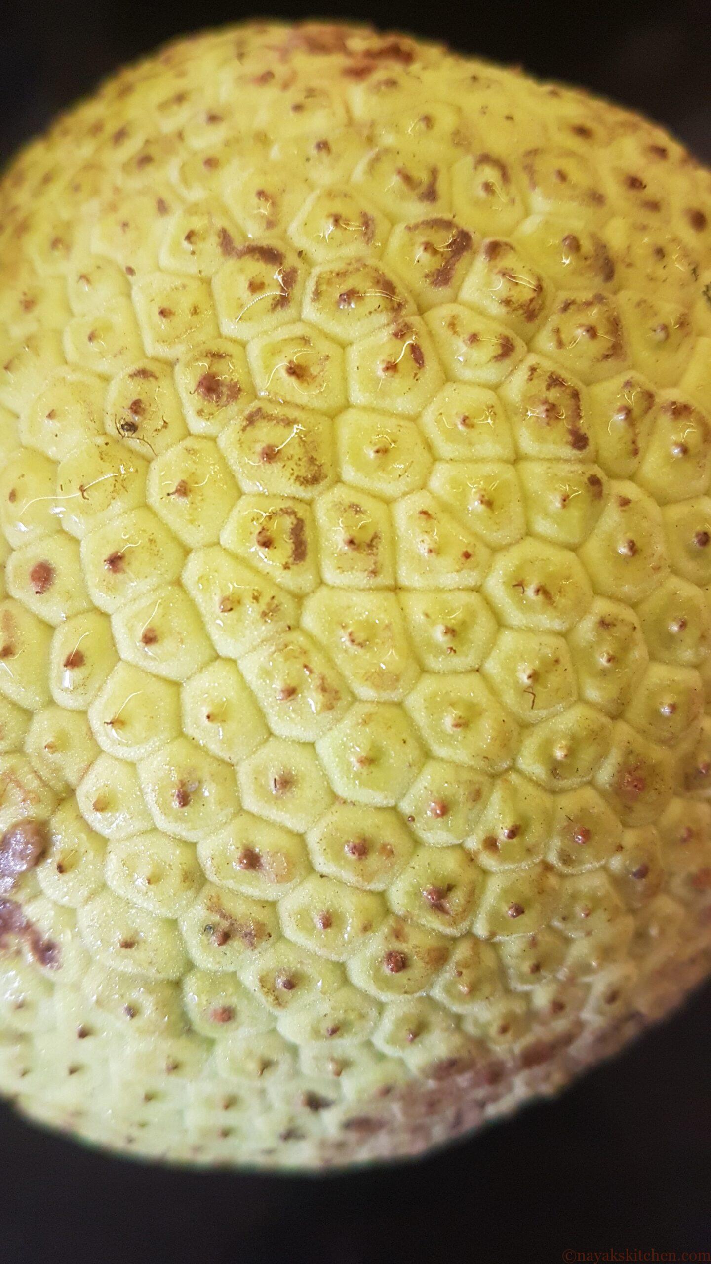 Closeup of a breadfruit