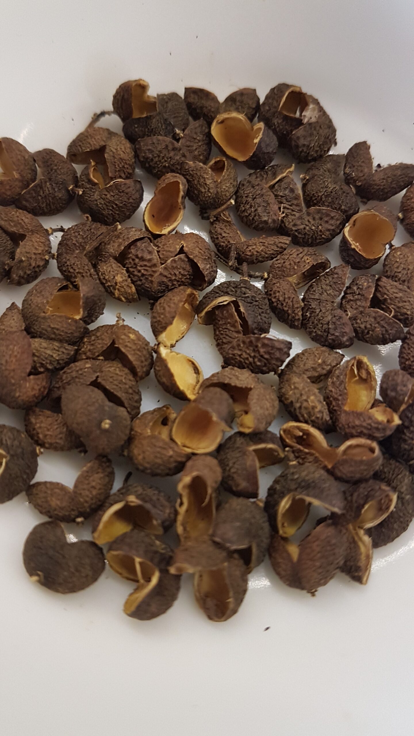 Tefla/Teppal/Tirphal