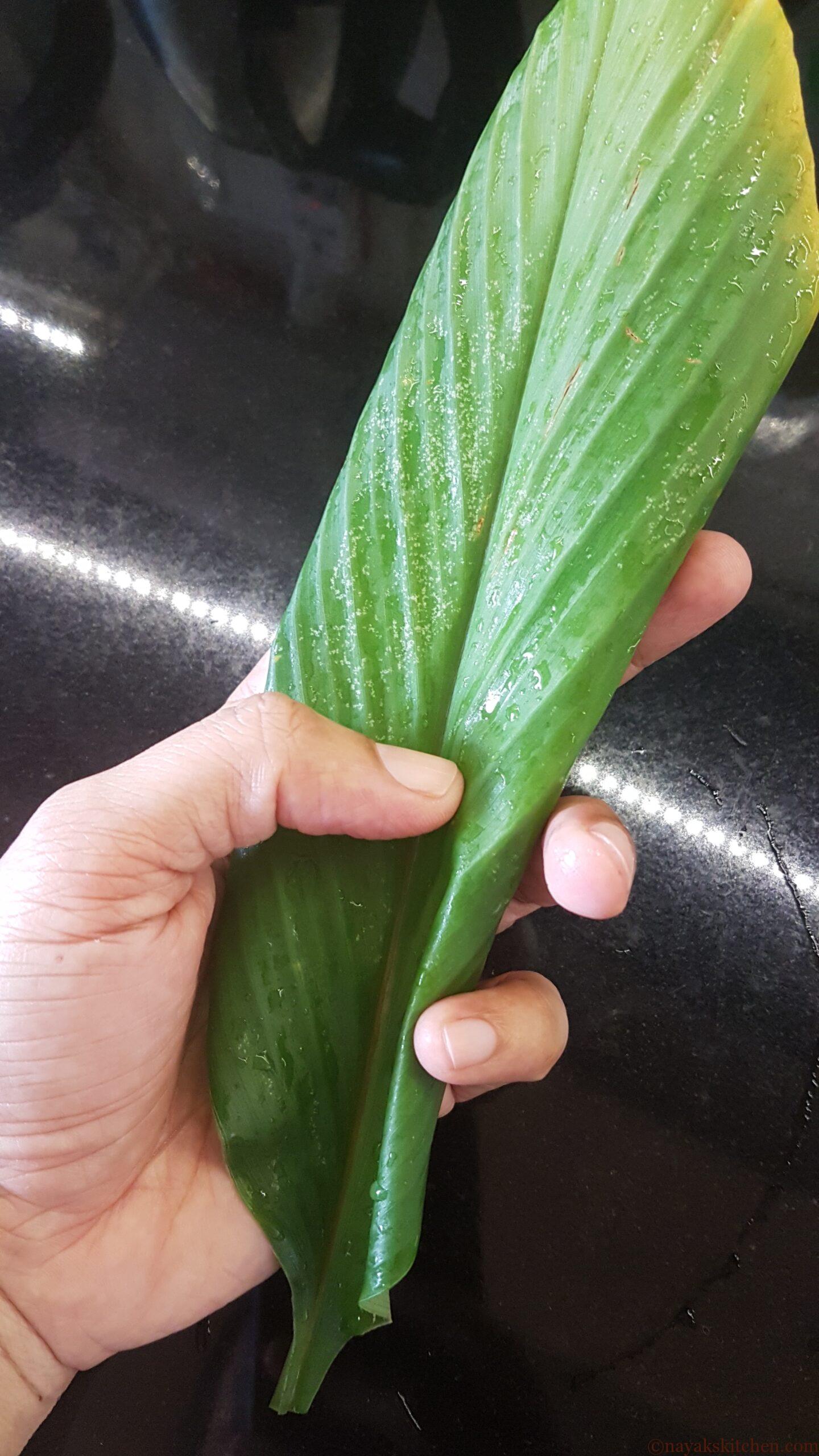 Turmeric leaf for Rosatle Fov