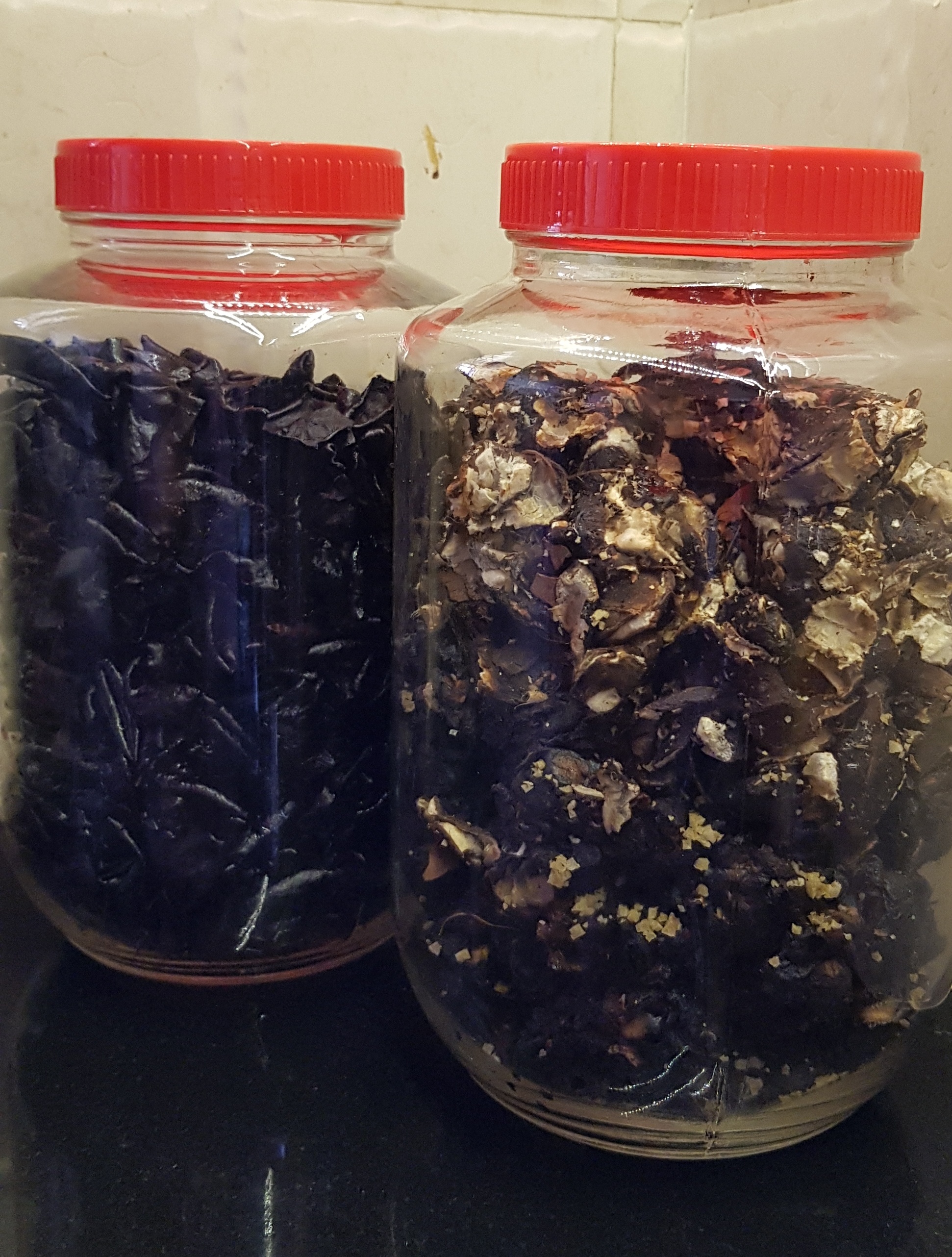 Kokum and Tamarind