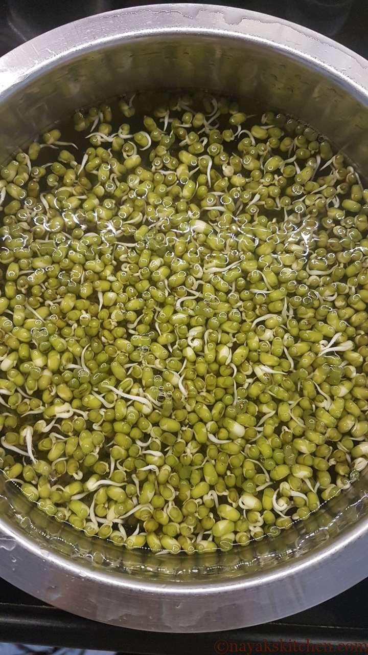 Green moong sprouts in water
