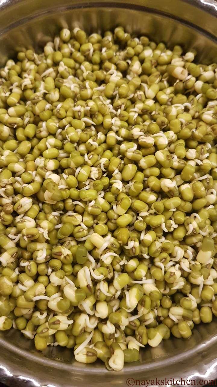 Moong developing sprouts