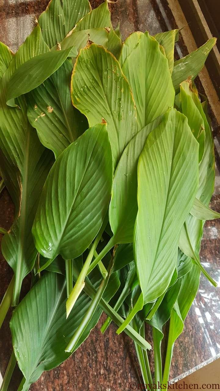 Homegrown turmeric leaves | nayakskitchen - Your Own Pakshala