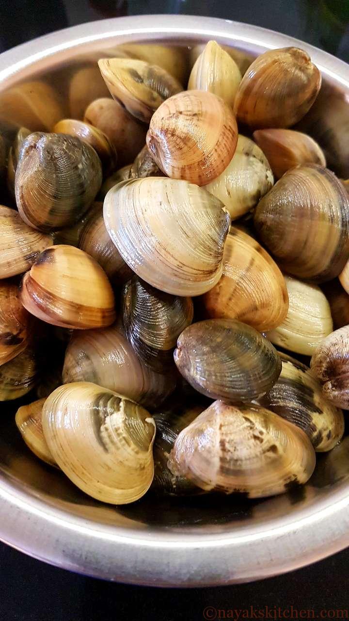 Tisreo (Clams)