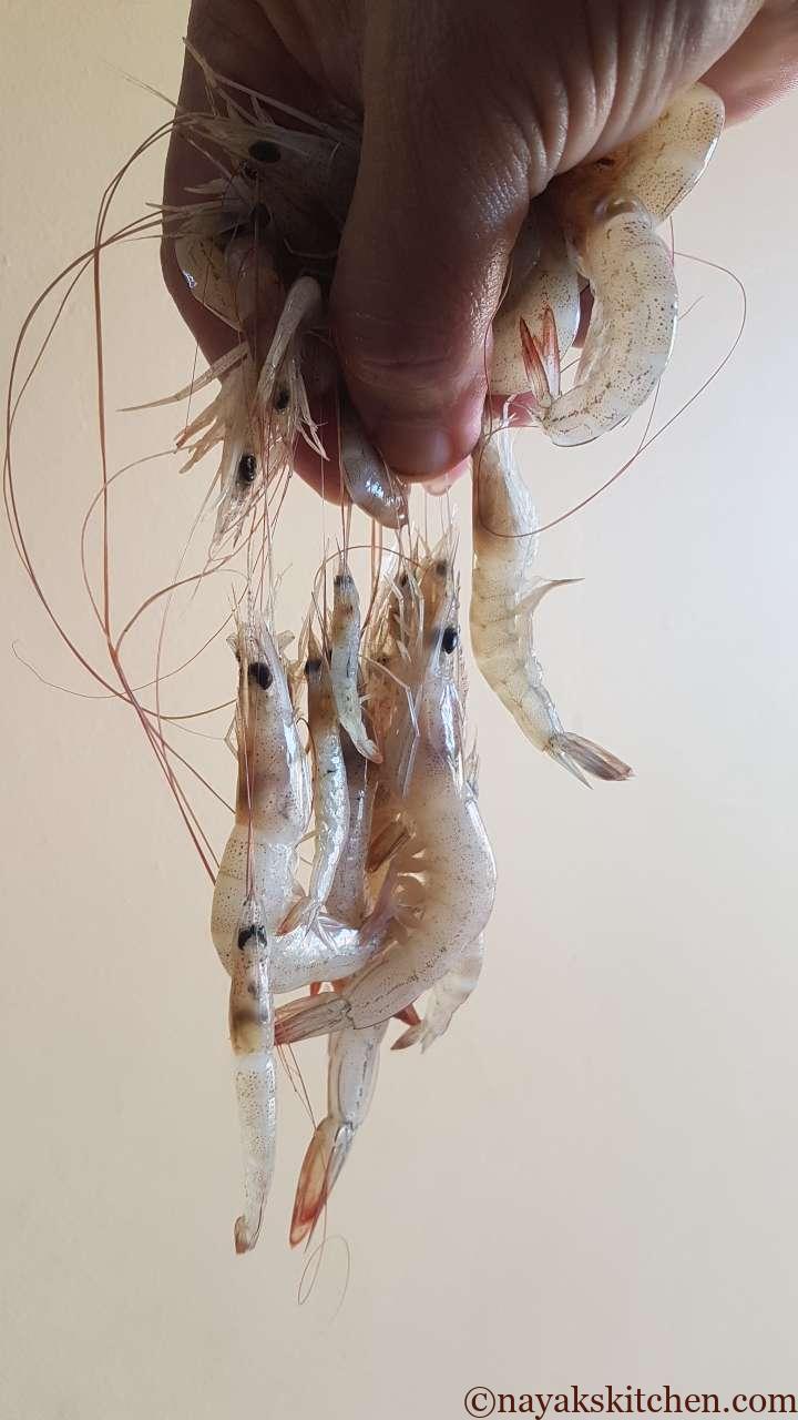 Goan prawns